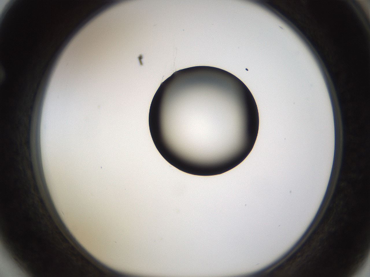 folderID177_plateID1177_batchID3246_wellNum64_profileID1_d1_r64606_ef.jpg