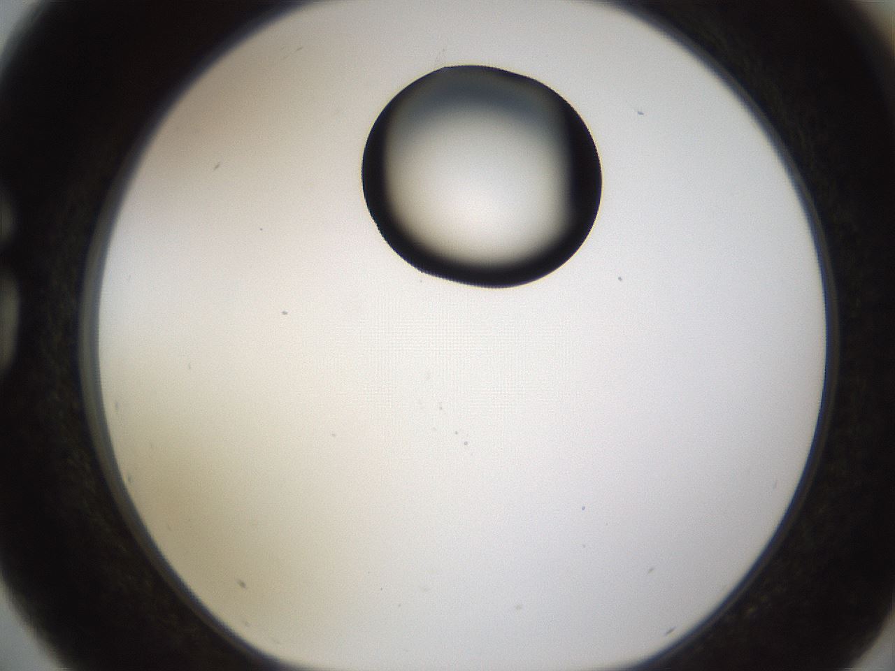 folderID177_plateID1177_batchID3246_wellNum75_profileID1_d1_r64617_ef.jpg