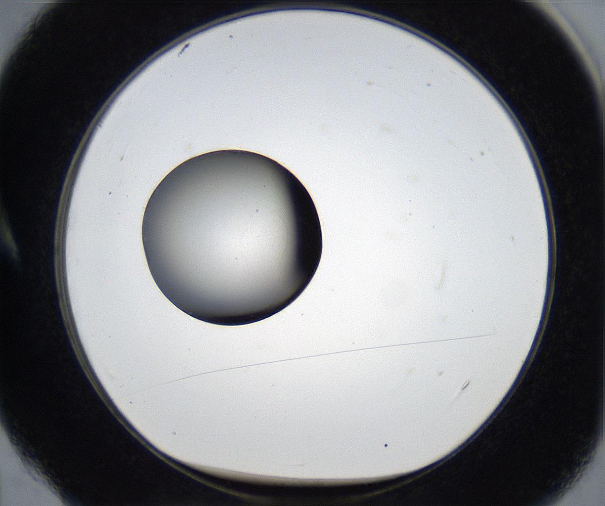 folderID177_plateID2177_batchID9607_wellNum4_profileID1_d1_r146573_ef.jpg