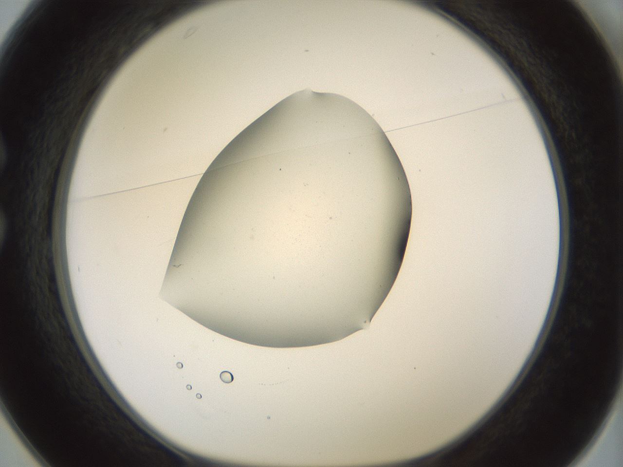 folderID179_plateID1179_batchID3362_wellNum25_profileID1_d1_r65431_ef.jpg