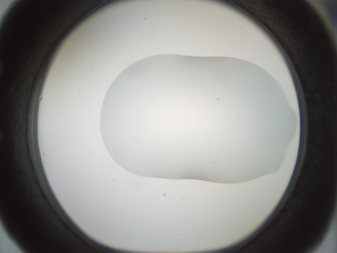 folderID179_plateID1179_batchID3362_wellNum53_profileID1_d1_r65459_ef.jpg