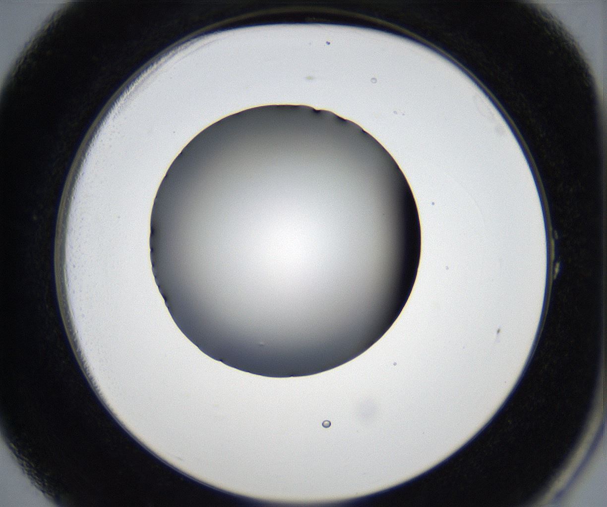 folderID177_plateID2177_batchID9607_wellNum1_profileID1_d2_r146568_ef.jpg
