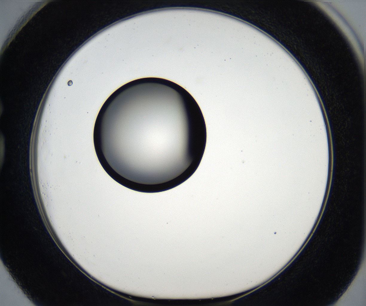 folderID177_plateID2177_batchID9607_wellNum73_profileID1_d1_r146711_ef.jpg