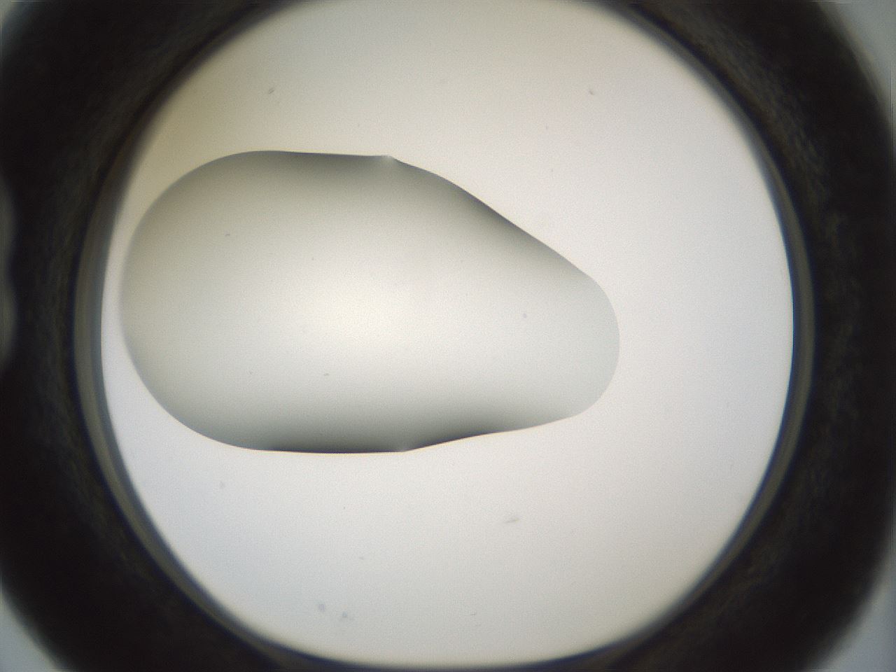 folderID179_plateID1179_batchID3362_wellNum15_profileID1_d1_r65421_ef.jpg
