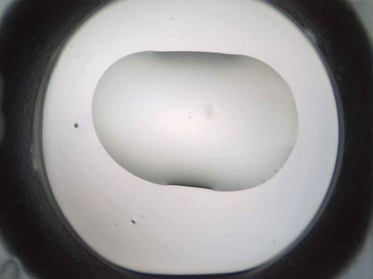 folderID179_plateID1179_batchID3362_wellNum23_profileID1_d1_r65429_ef.jpg