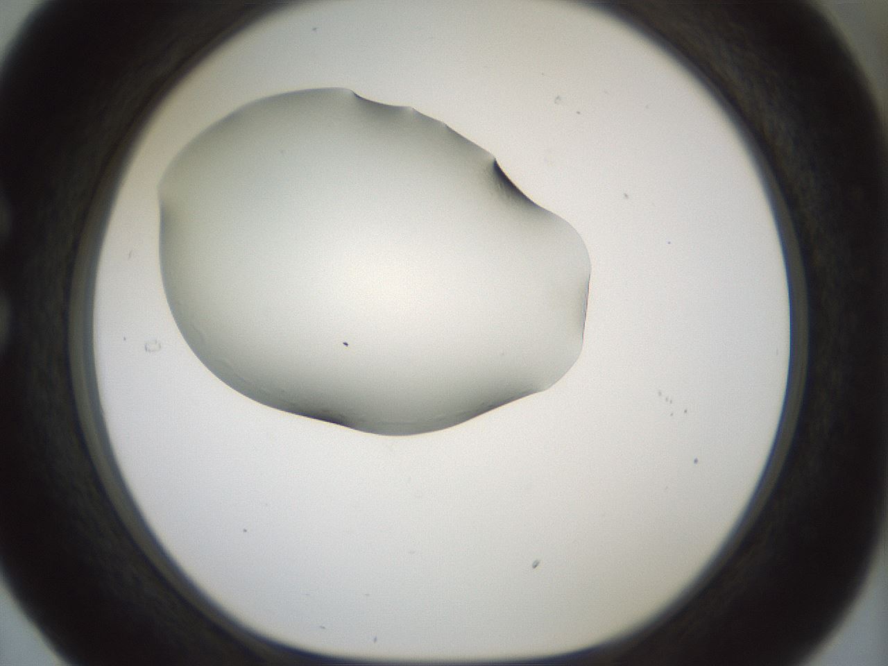 folderID179_plateID1179_batchID3362_wellNum29_profileID1_d1_r65435_ef.jpg