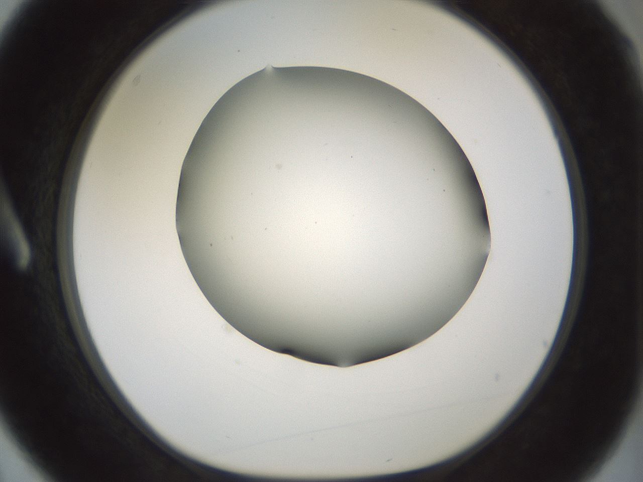 folderID179_plateID1179_batchID3362_wellNum3_profileID1_d1_r65409_ef.jpg