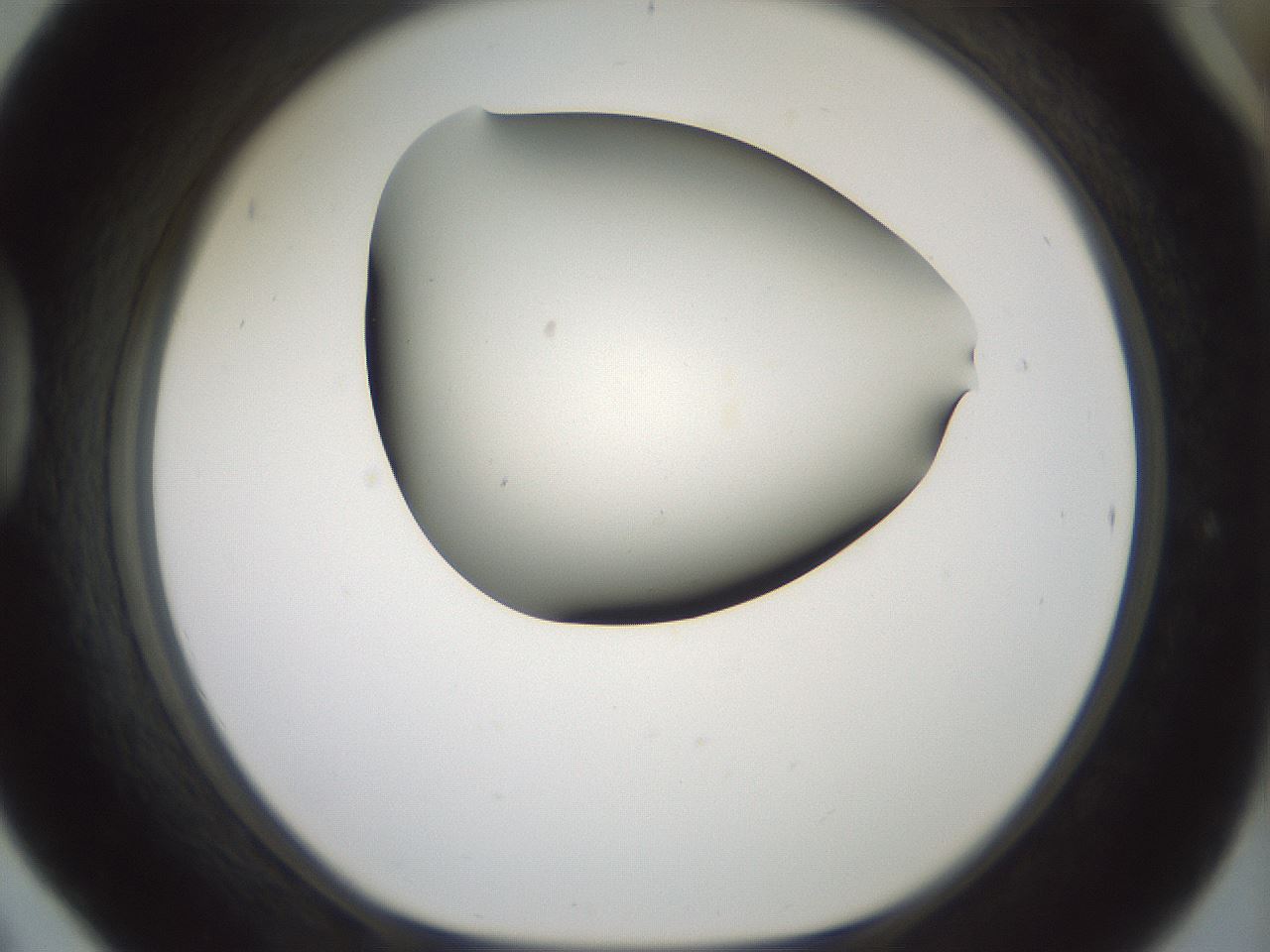 folderID179_plateID1179_batchID3362_wellNum42_profileID1_d1_r65448_ef.jpg