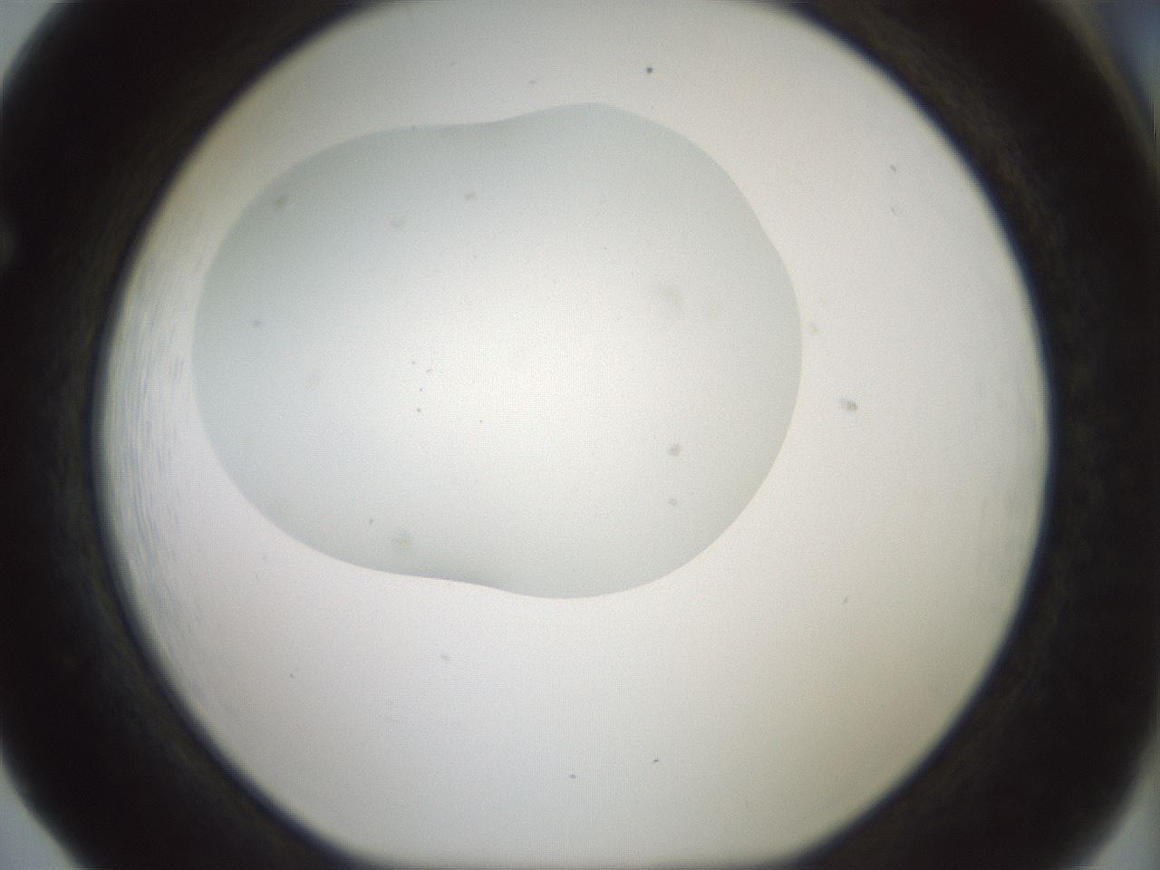 folderID179_plateID1179_batchID3362_wellNum65_profileID1_d1_r65471_ef.jpg