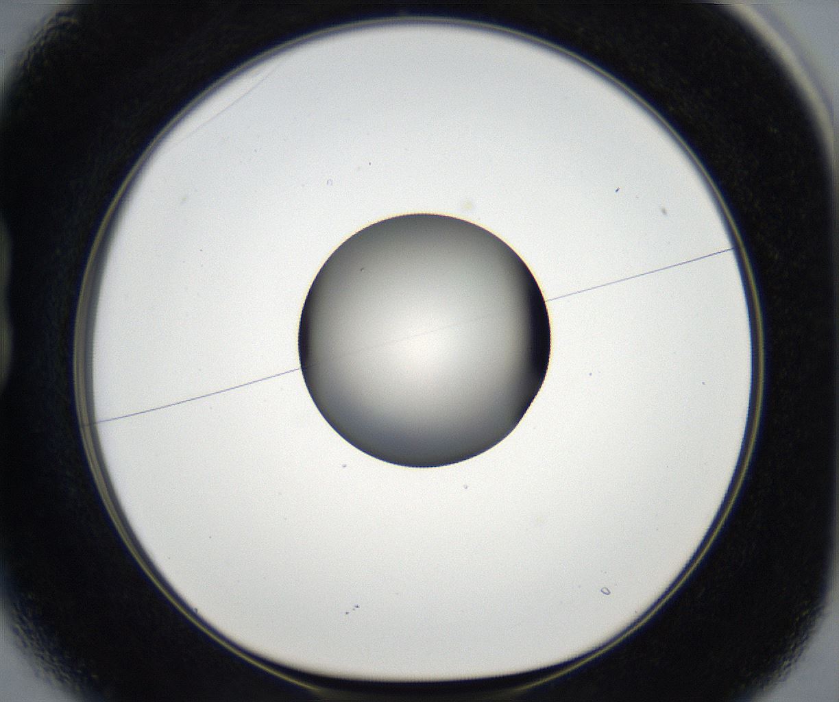 folderID179_plateID2179_batchID9609_wellNum13_profileID1_d1_r147359_ef.jpg