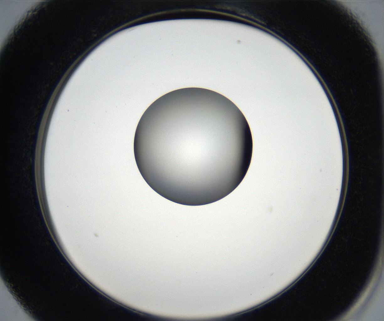 folderID179_plateID2179_batchID9609_wellNum13_profileID1_d2_r147360_ef.jpg