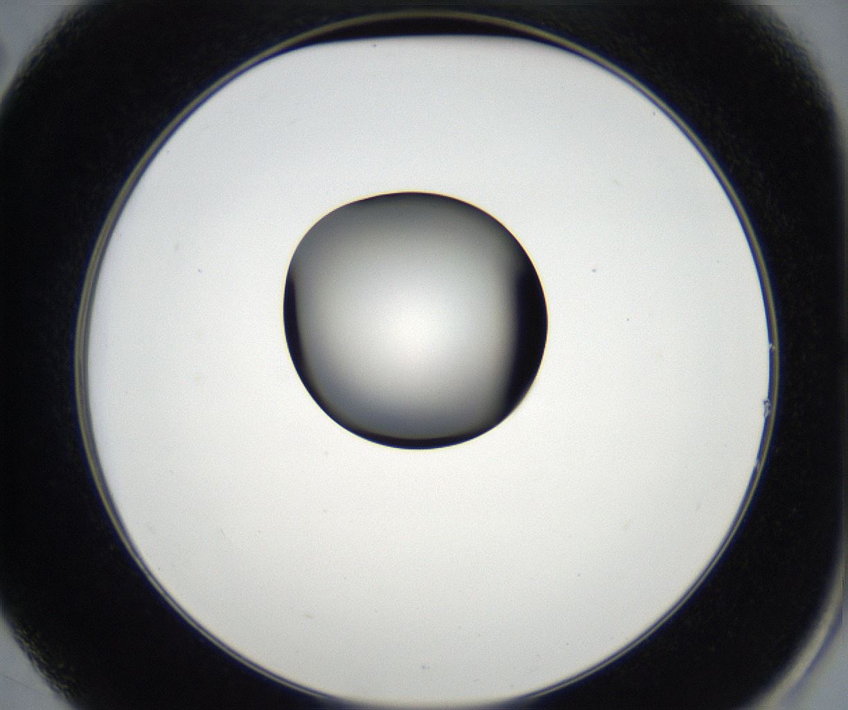 folderID179_plateID2179_batchID9609_wellNum14_profileID1_d2_r147362_ef.jpg