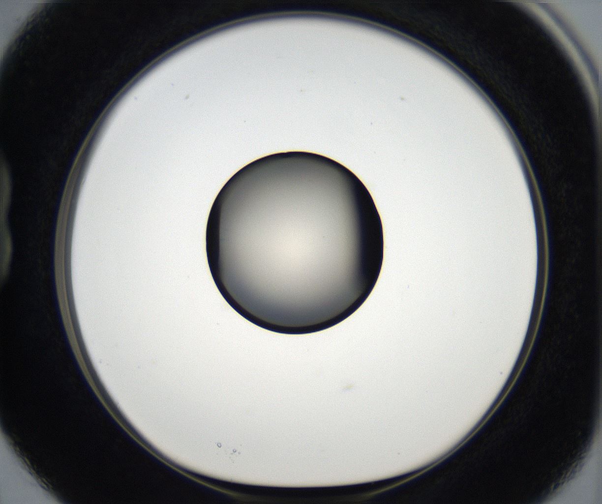 folderID179_plateID2179_batchID9609_wellNum15_profileID1_d1_r147363_ef.jpg