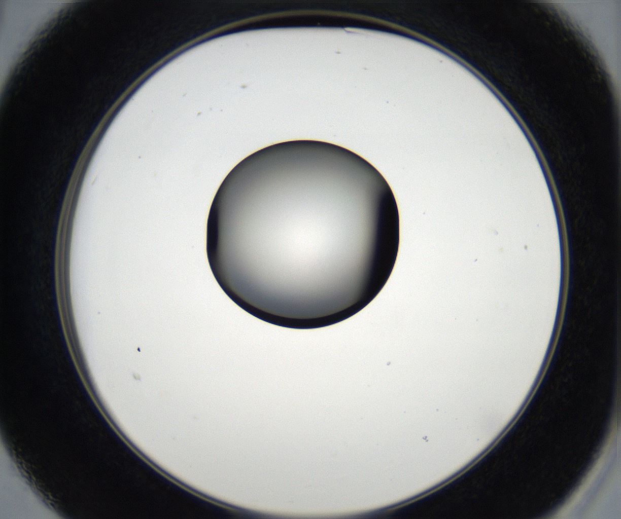 folderID179_plateID2179_batchID9609_wellNum15_profileID1_d2_r147364_ef.jpg