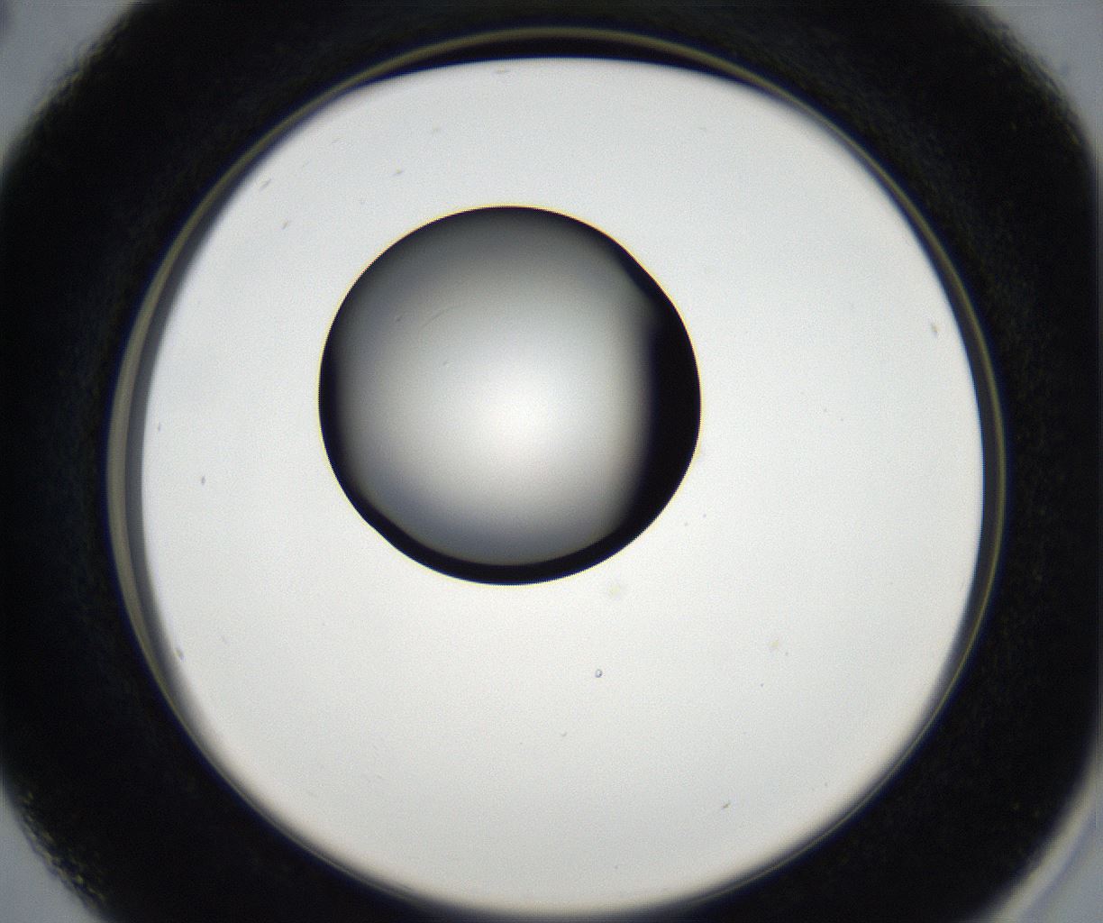 folderID179_plateID2179_batchID9609_wellNum16_profileID1_d2_r147366_ef.jpg