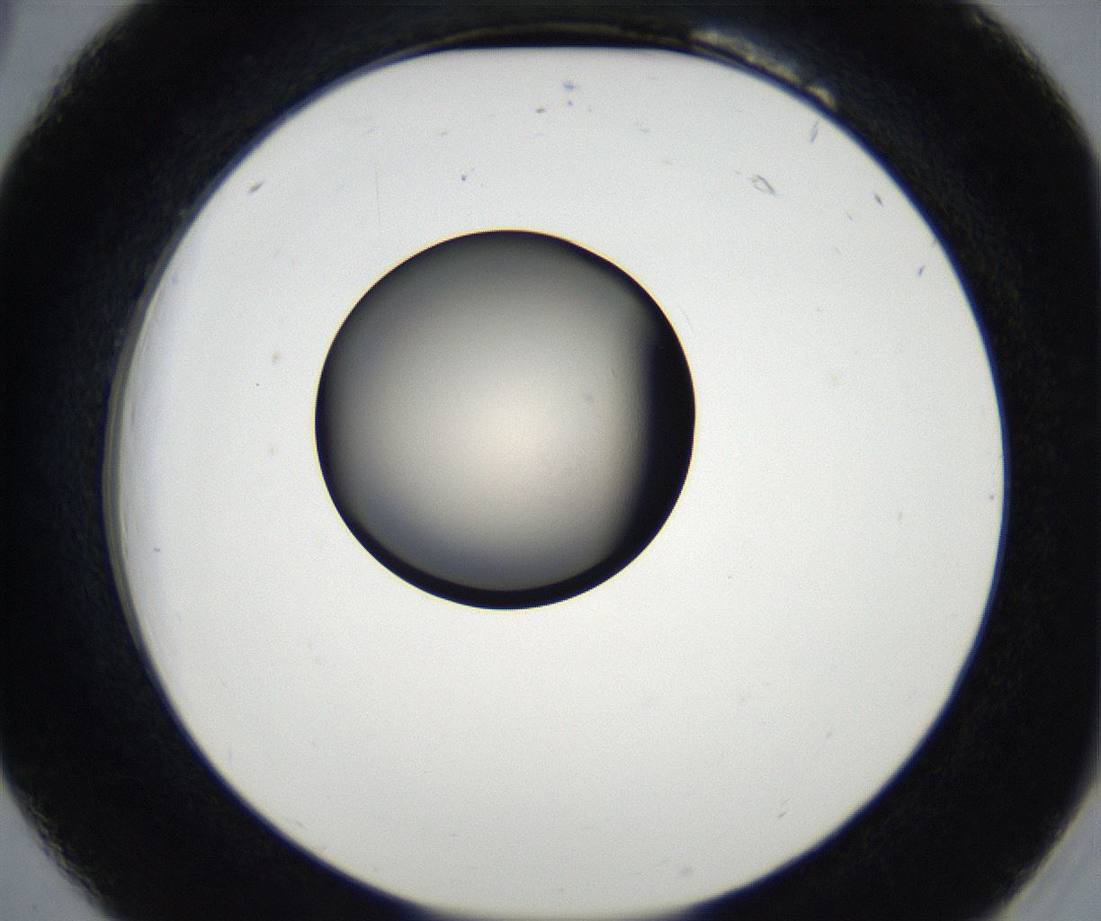 folderID179_plateID2179_batchID9609_wellNum18_profileID1_d2_r147370_ef.jpg