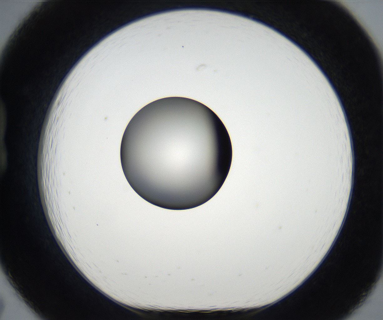 folderID179_plateID2179_batchID9609_wellNum19_profileID1_d1_r147371_ef.jpg