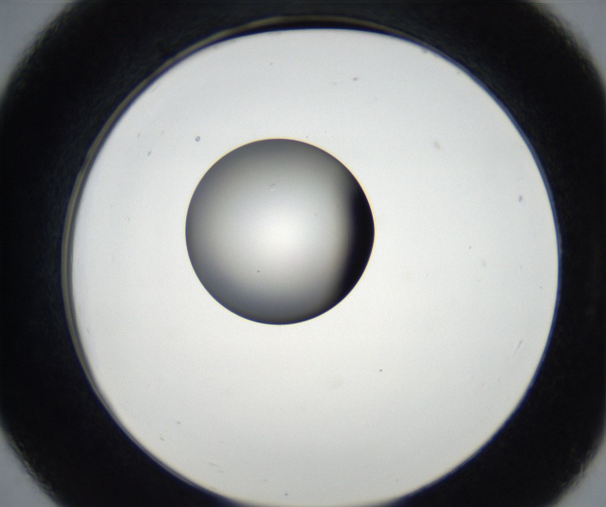 folderID179_plateID2179_batchID9609_wellNum19_profileID1_d2_r147372_ef.jpg