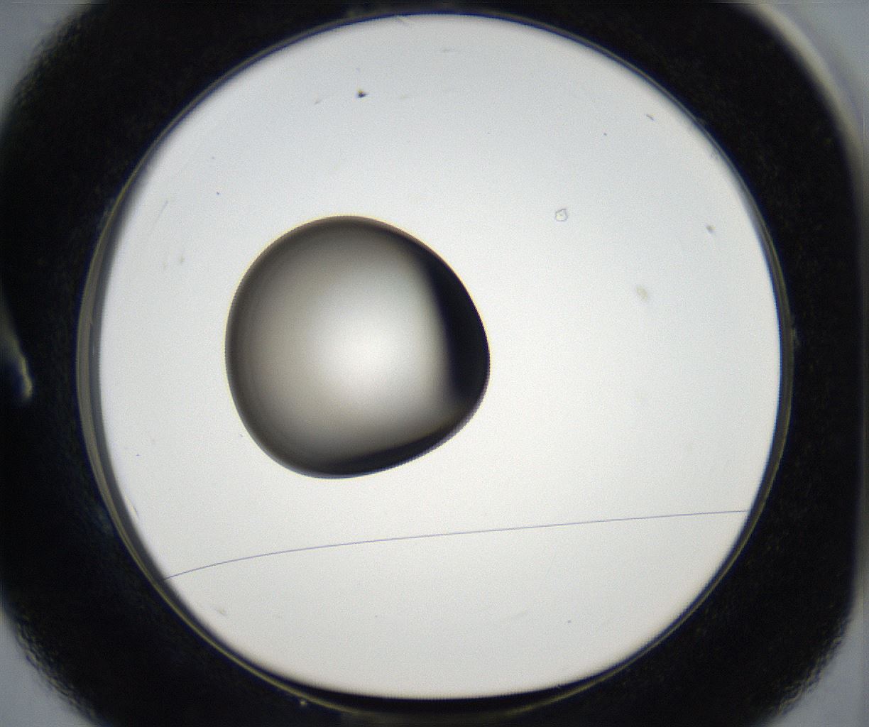 folderID179_plateID2179_batchID9609_wellNum1_profileID1_d1_r147335_ef.jpg