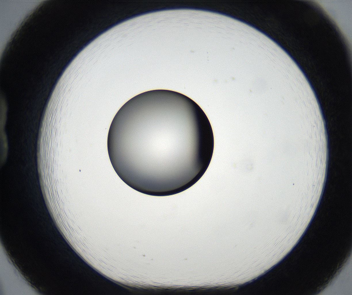 folderID179_plateID2179_batchID9609_wellNum20_profileID1_d1_r147373_ef.jpg