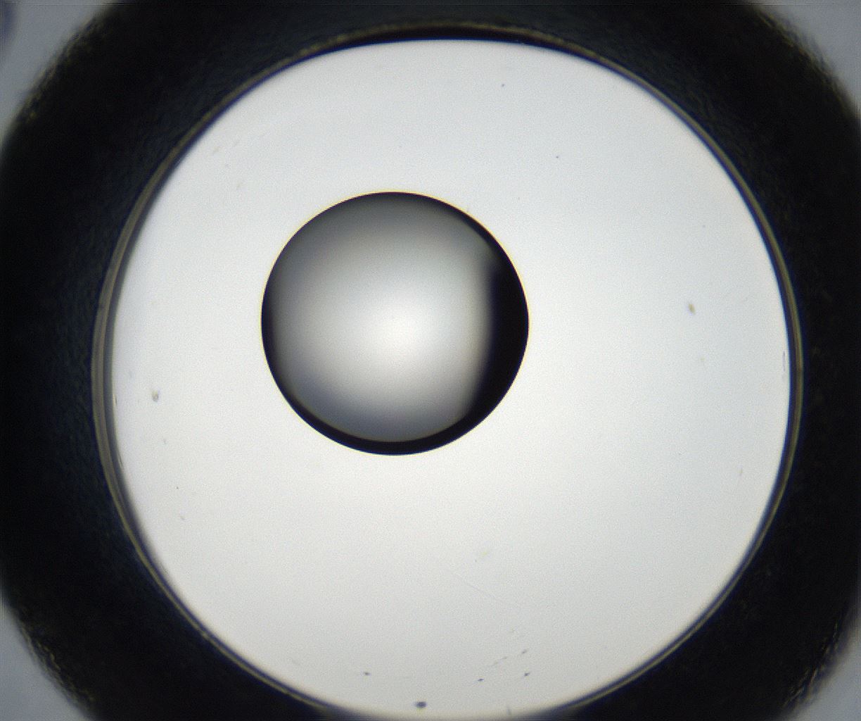 folderID179_plateID2179_batchID9609_wellNum20_profileID1_d2_r147374_ef.jpg
