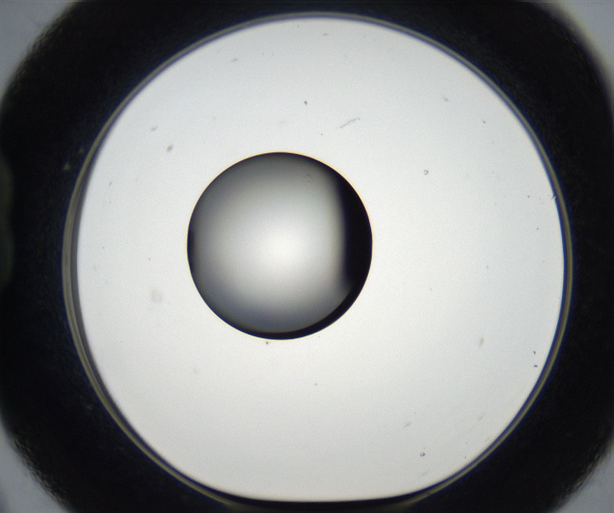 folderID179_plateID2179_batchID9609_wellNum21_profileID1_d1_r147375_ef.jpg