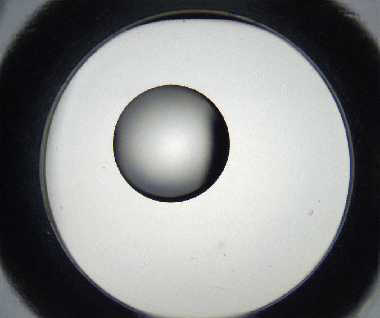 folderID179_plateID2179_batchID9609_wellNum21_profileID1_d2_r147376_ef.jpg