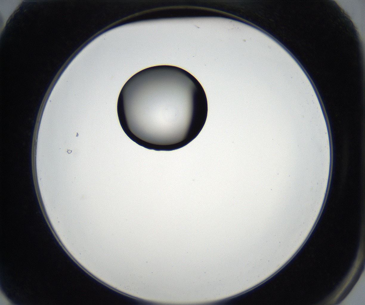 folderID179_plateID2179_batchID9609_wellNum2_profileID1_d2_r147338_ef.jpg