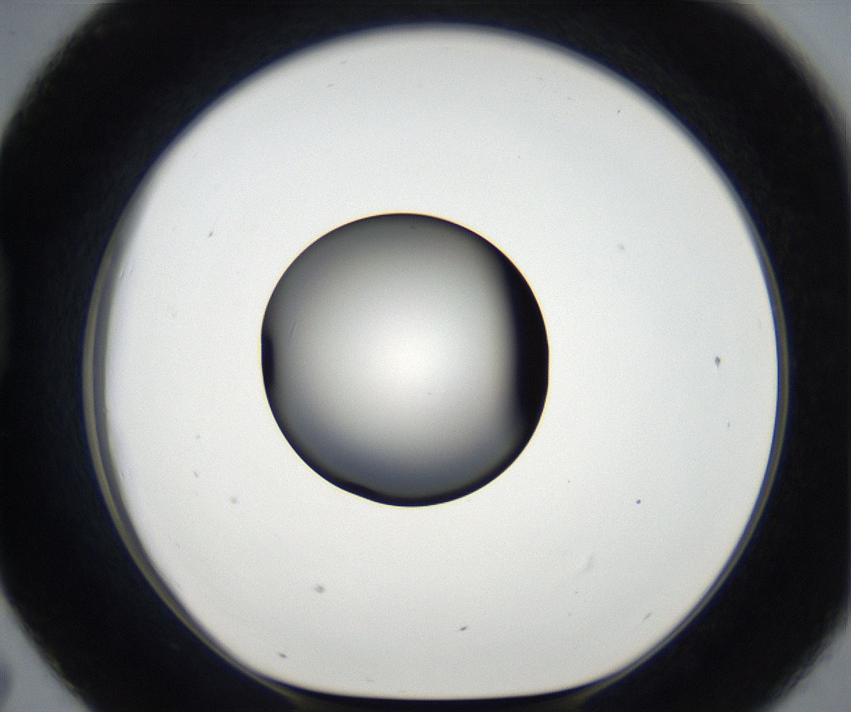 folderID179_plateID2179_batchID9609_wellNum43_profileID1_d1_r147419_ef.jpg