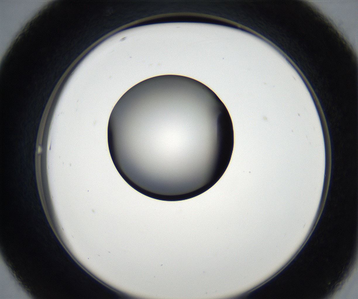 folderID179_plateID2179_batchID9609_wellNum43_profileID1_d2_r147420_ef.jpg
