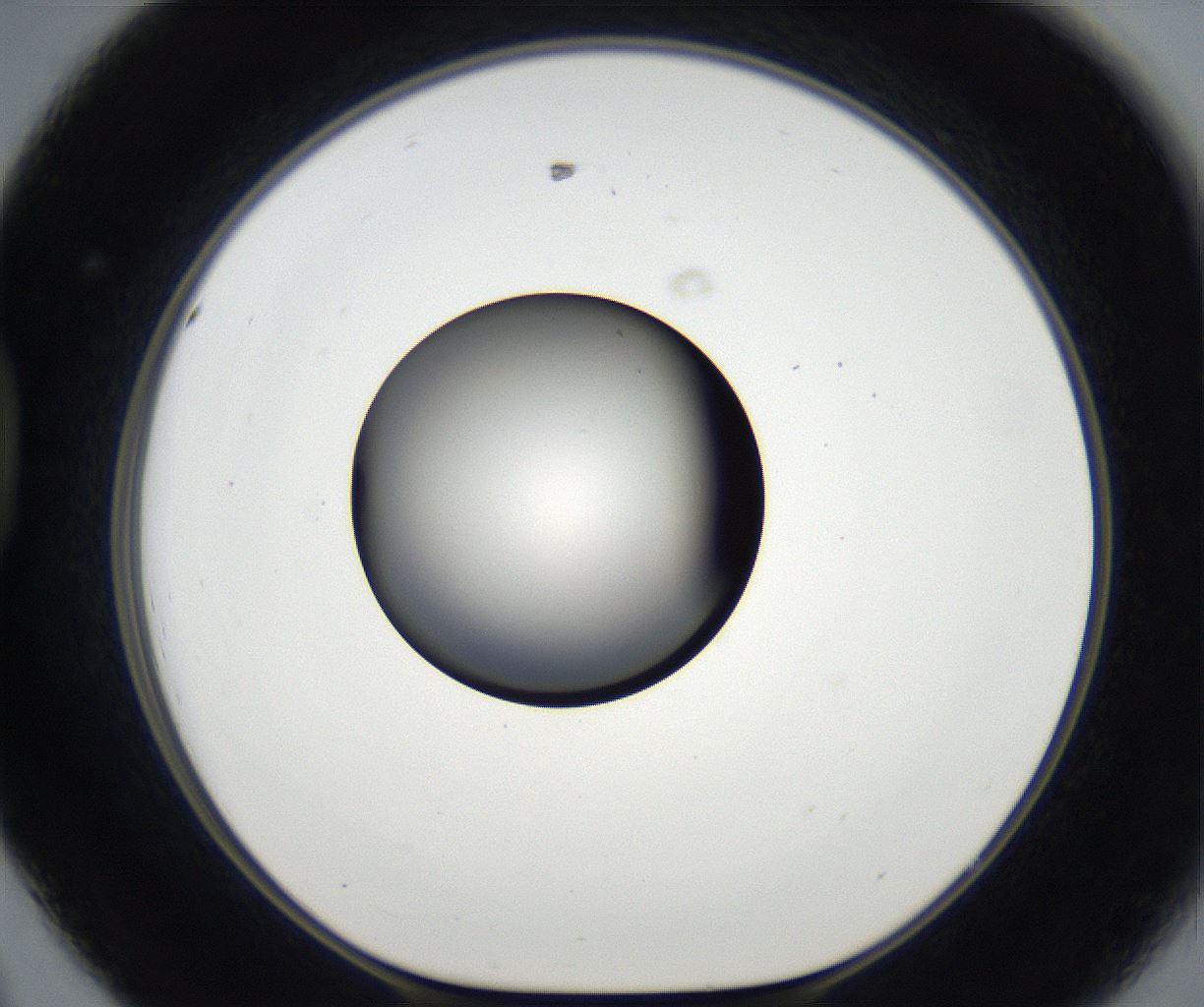 folderID179_plateID2179_batchID9609_wellNum44_profileID1_d1_r147421_ef.jpg