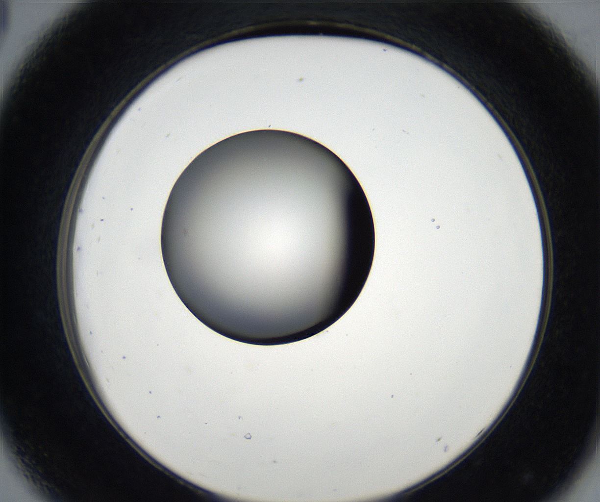 folderID179_plateID2179_batchID9609_wellNum44_profileID1_d2_r147422_ef.jpg