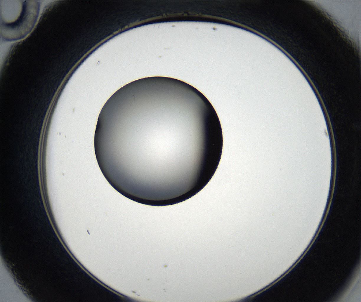 folderID179_plateID2179_batchID9609_wellNum46_profileID1_d2_r147426_ef.jpg