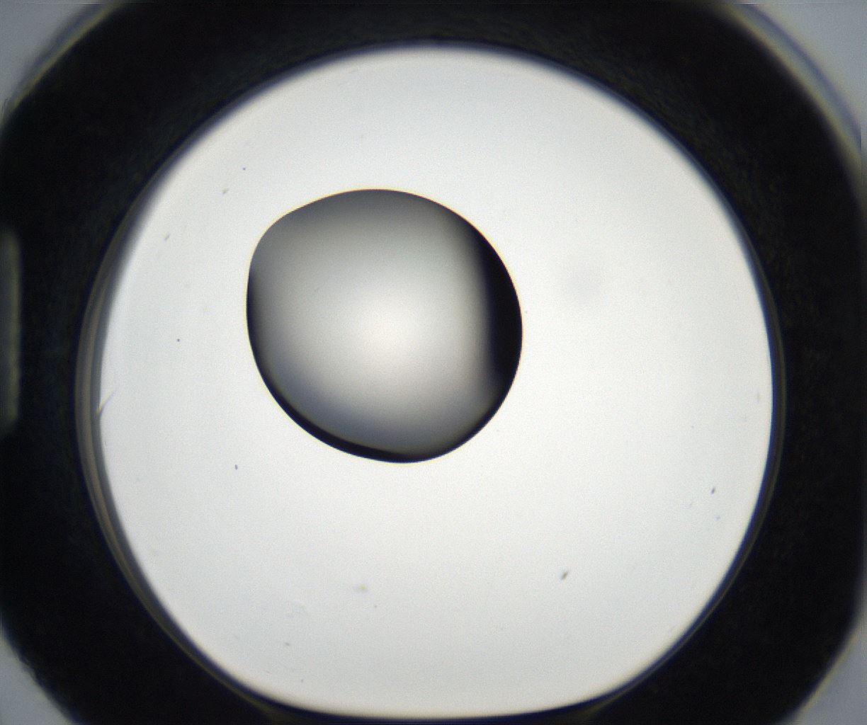 folderID179_plateID2179_batchID9609_wellNum90_profileID1_d1_r147513_ef.jpg