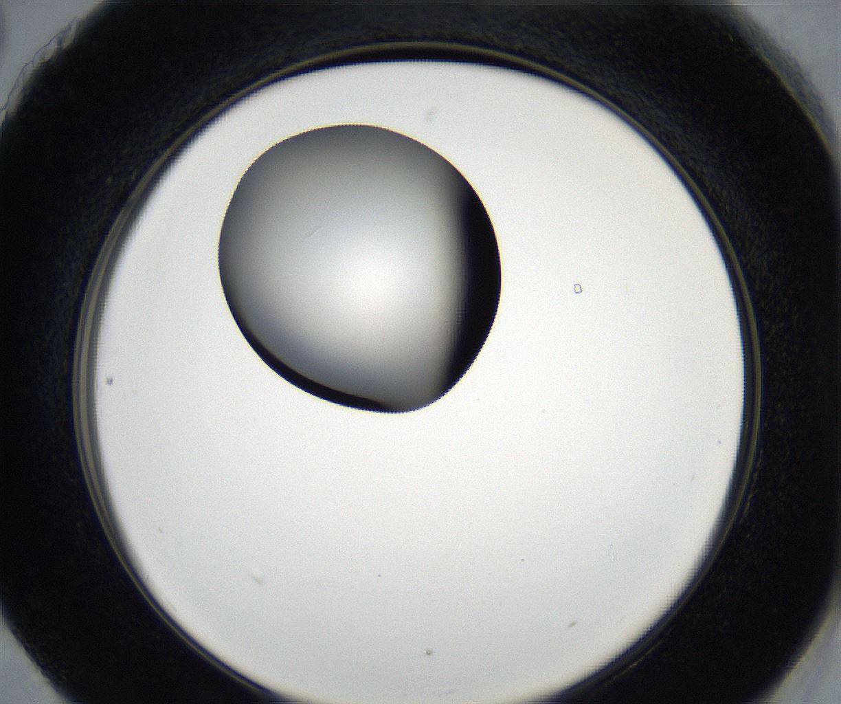 folderID179_plateID2179_batchID9609_wellNum90_profileID1_d2_r147514_ef.jpg