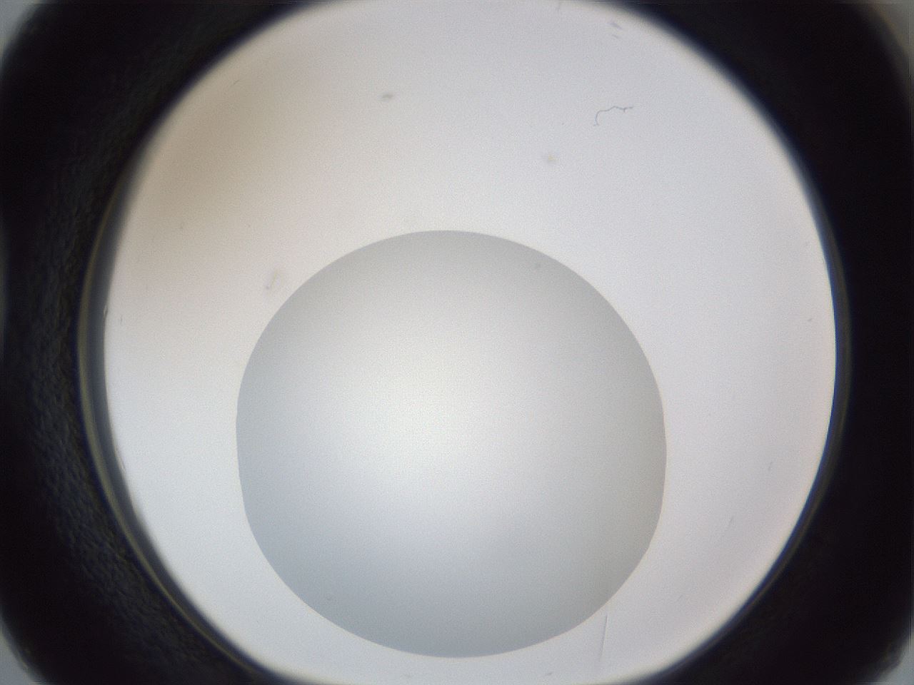 folderID17_plateID1017_batchID1900_wellNum38_profileID1_d1_r43209_ef.jpg