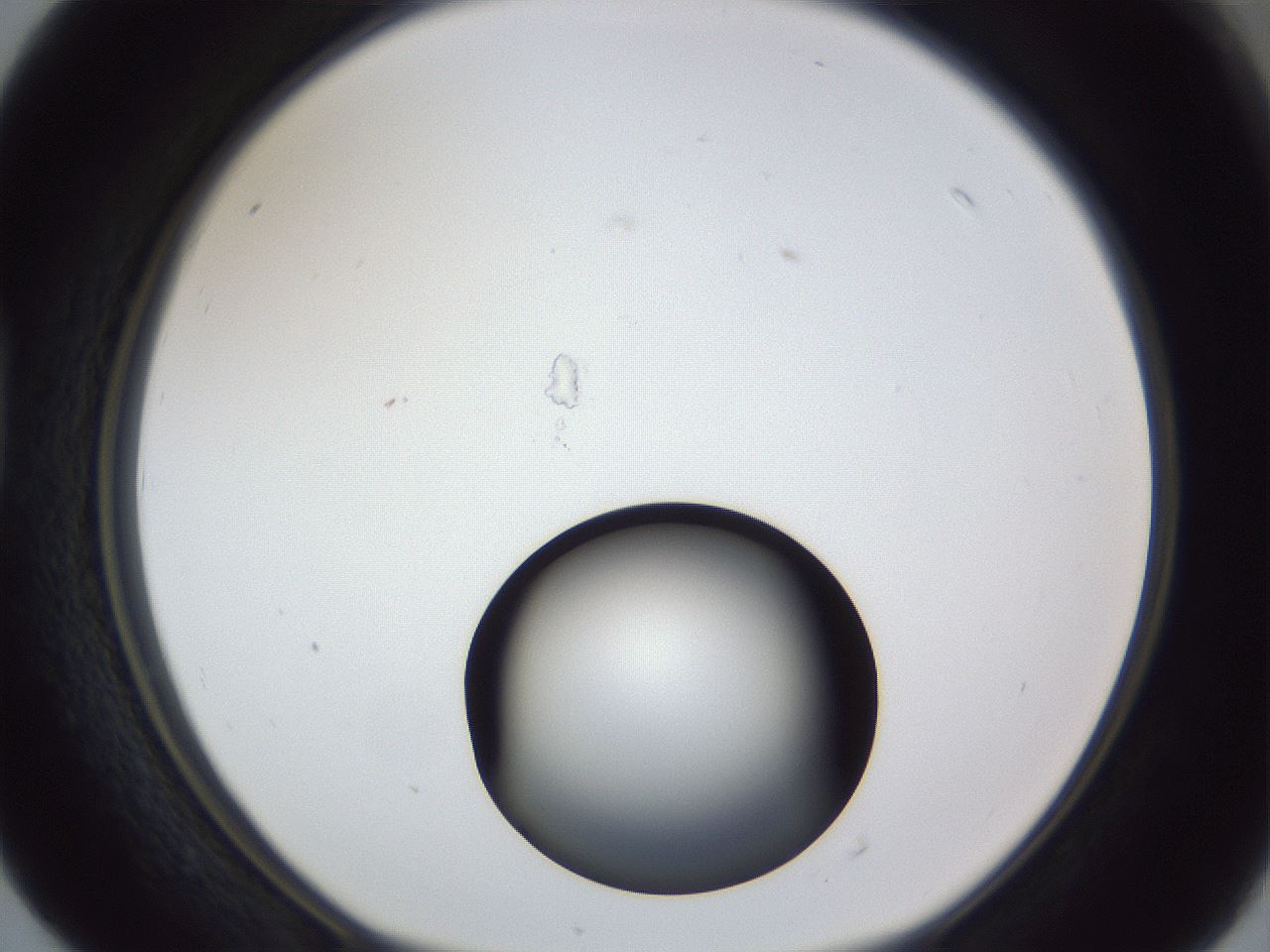 folderID17_plateID1017_batchID1900_wellNum40_profileID1_d1_r43211_ef.jpg