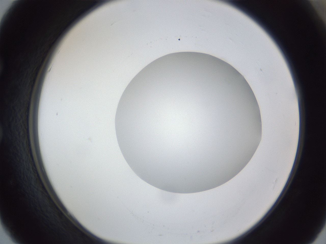 folderID17_plateID1017_batchID1900_wellNum51_profileID1_d1_r43222_ef.jpg