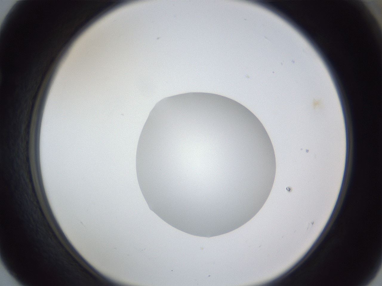 folderID17_plateID1017_batchID1900_wellNum52_profileID1_d1_r43223_ef.jpg