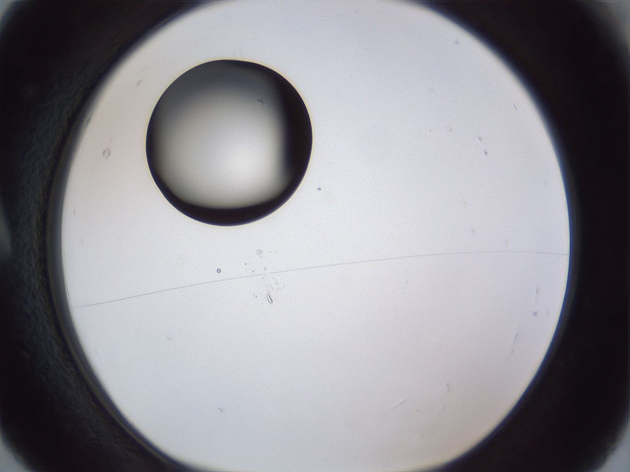 folderID17_plateID1017_batchID1900_wellNum5_profileID1_d1_r43176_ef.jpg