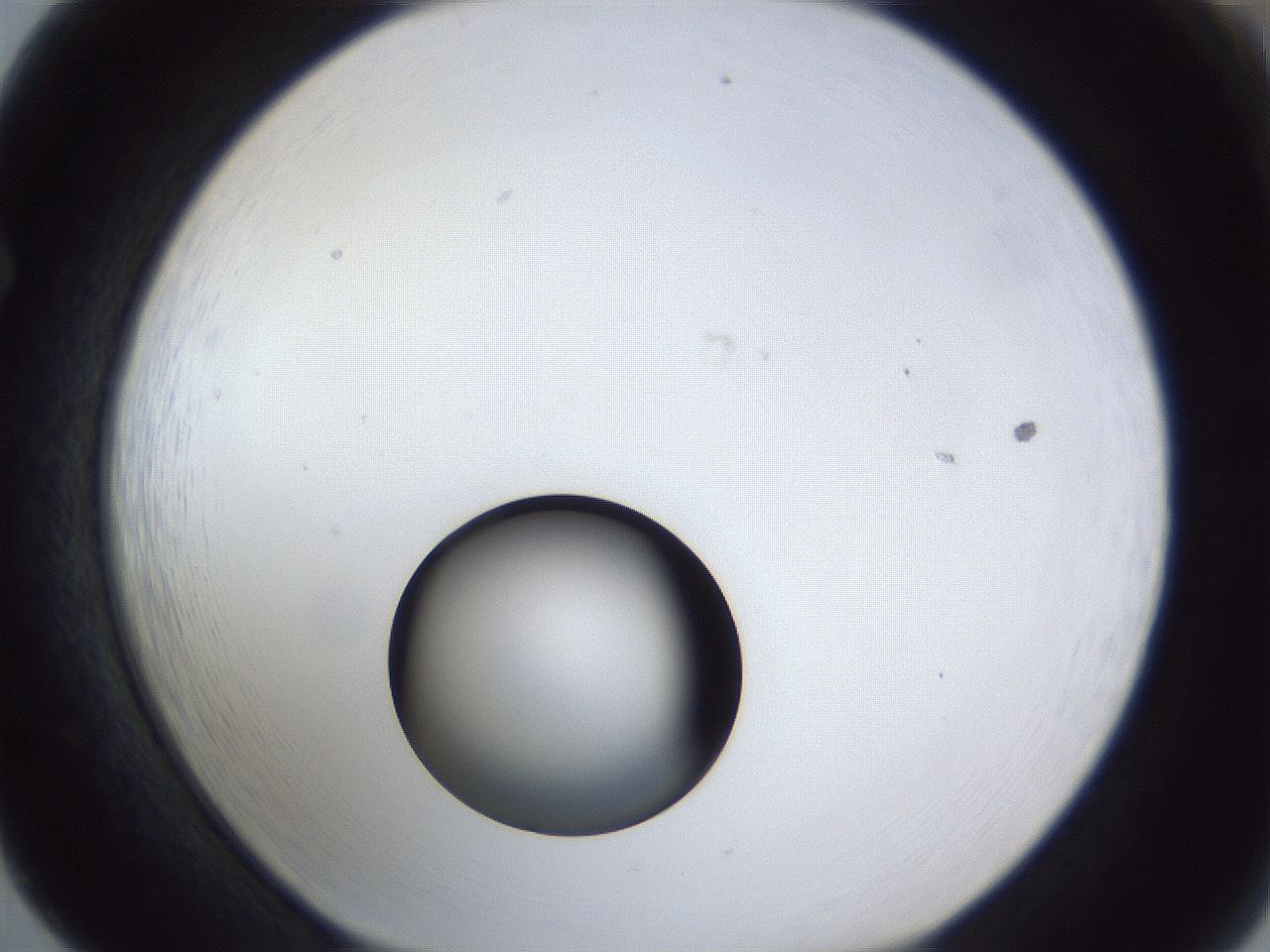 folderID17_plateID1017_batchID1900_wellNum65_profileID1_d1_r43236_ef.jpg