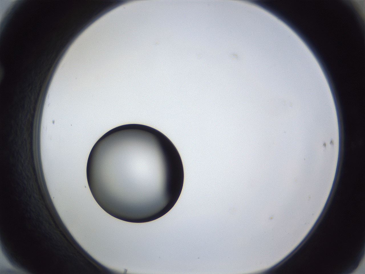folderID17_plateID1017_batchID1900_wellNum70_profileID1_d1_r43241_ef.jpg