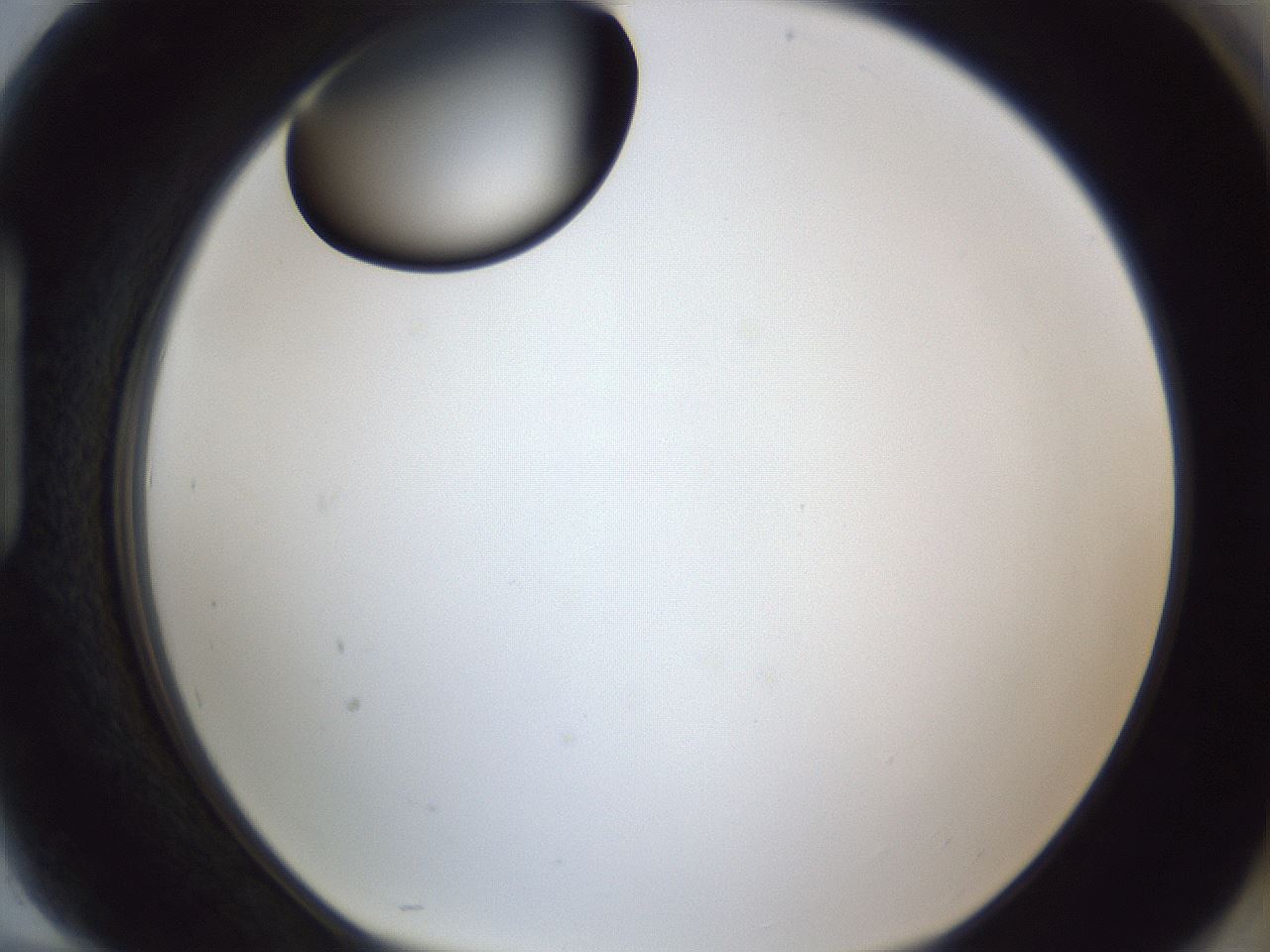 folderID17_plateID1017_batchID1900_wellNum94_profileID1_d1_r43265_ef.jpg