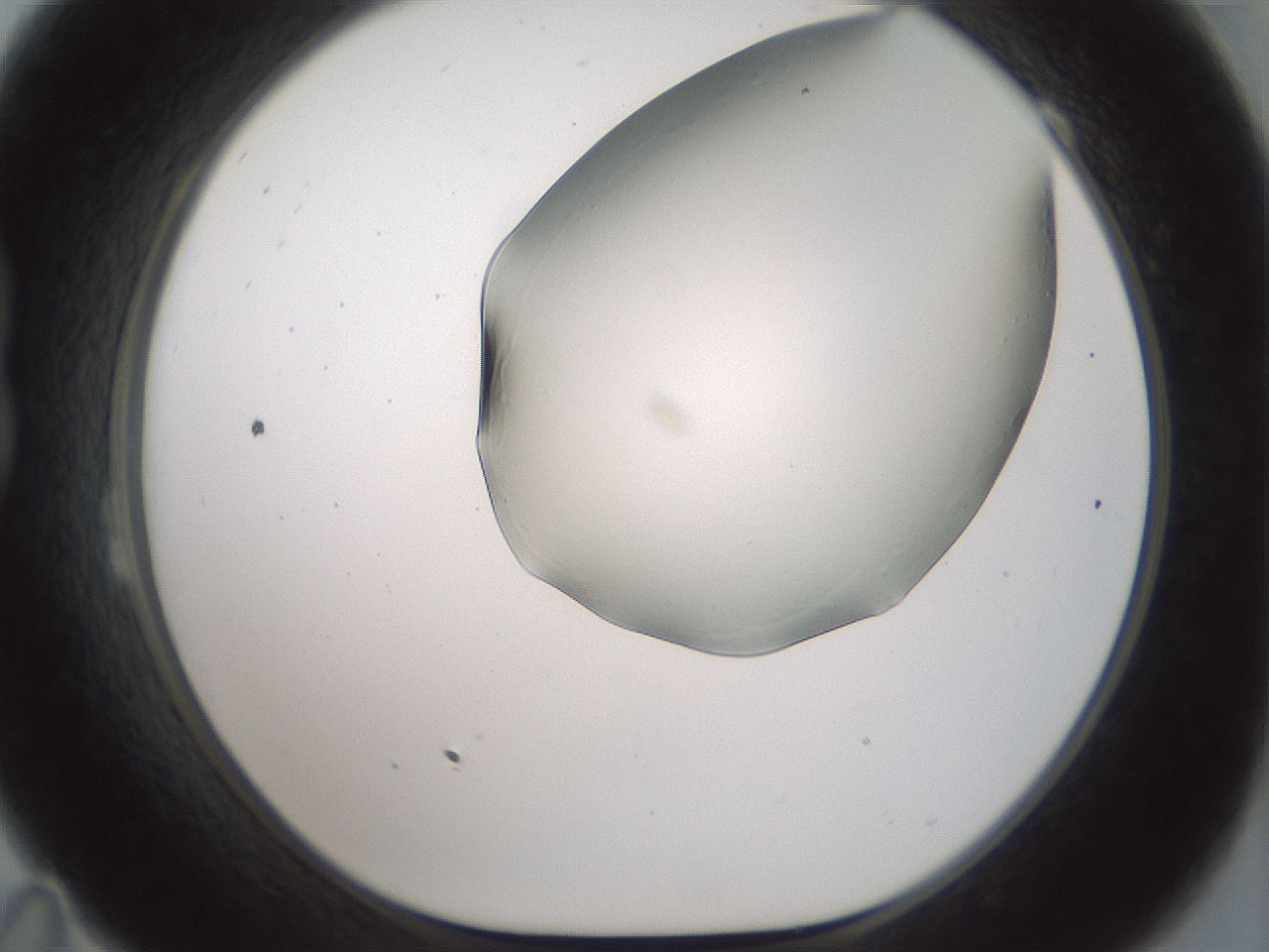 folderID180_plateID1180_batchID3360_wellNum23_profileID1_d1_r65237_ef.jpg
