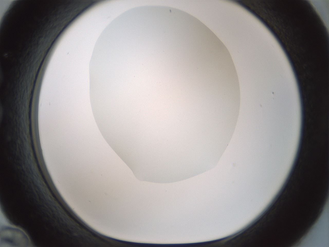 folderID180_plateID1180_batchID3360_wellNum36_profileID1_d1_r65250_ef.jpg