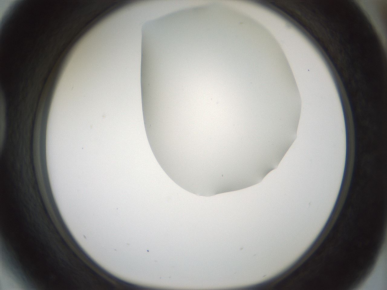 folderID180_plateID1180_batchID3360_wellNum41_profileID1_d1_r65255_ef.jpg