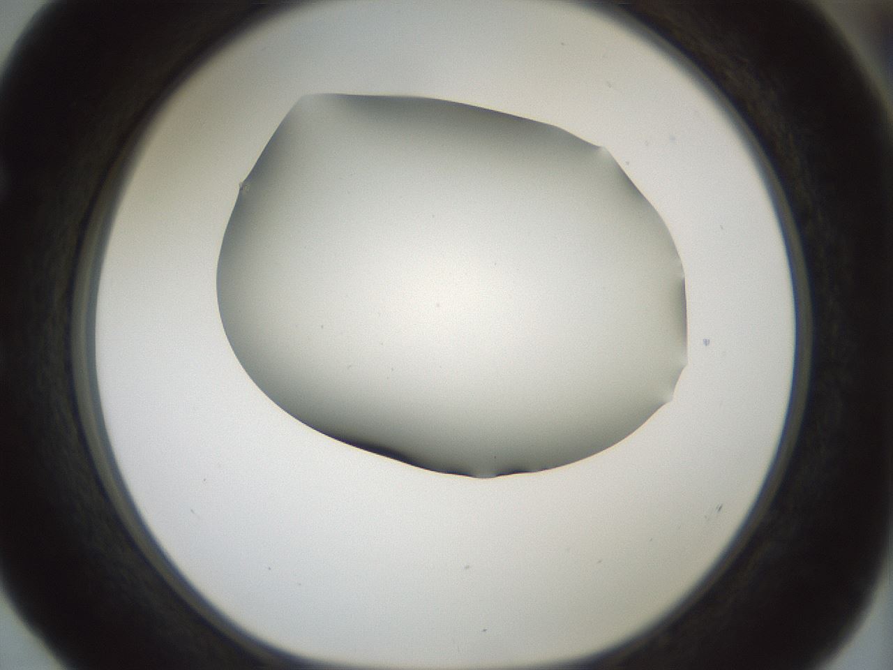 folderID180_plateID1180_batchID3360_wellNum52_profileID1_d1_r65266_ef.jpg