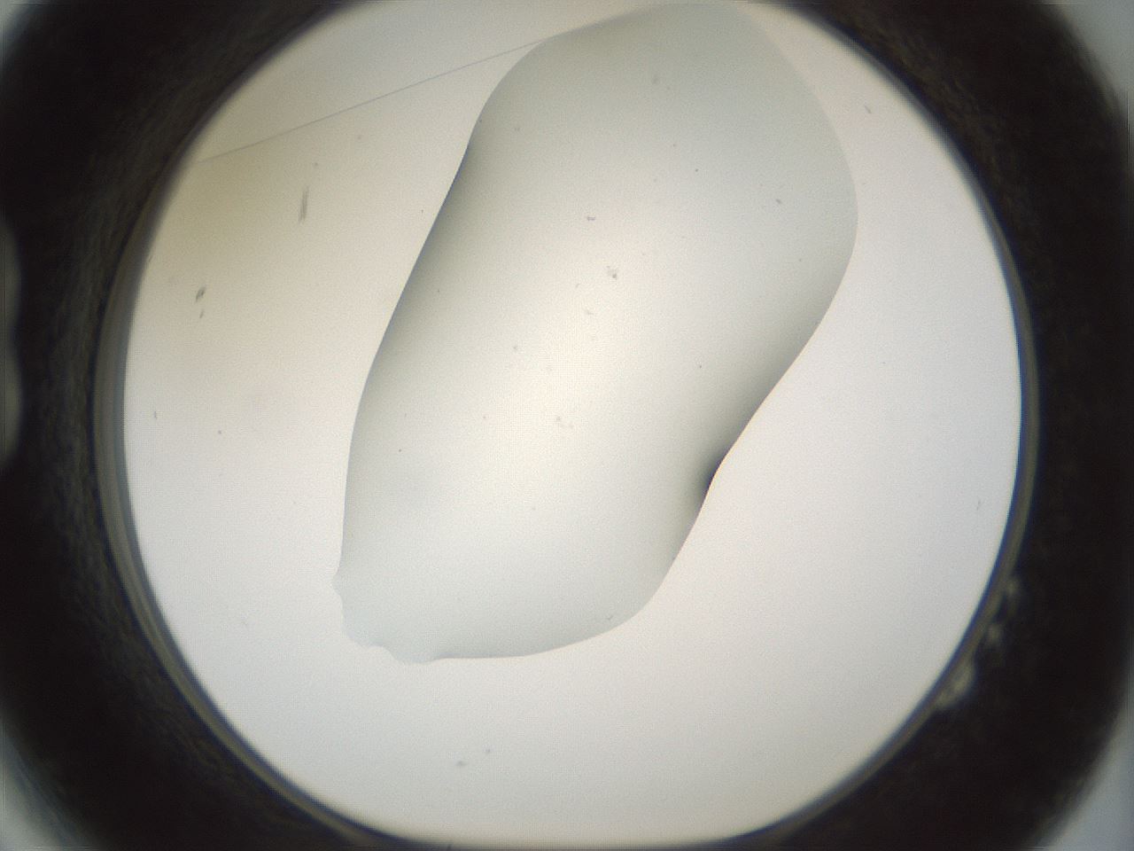 folderID181_plateID1181_batchID3370_wellNum14_profileID1_d1_r65804_ef.jpg