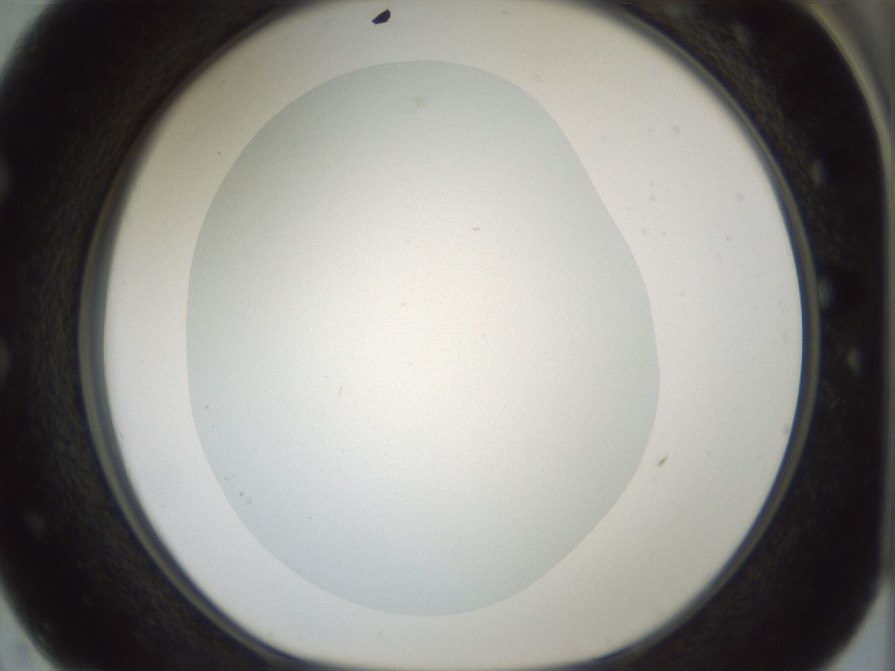 folderID181_plateID1181_batchID3370_wellNum50_profileID1_d1_r65840_ef.jpg