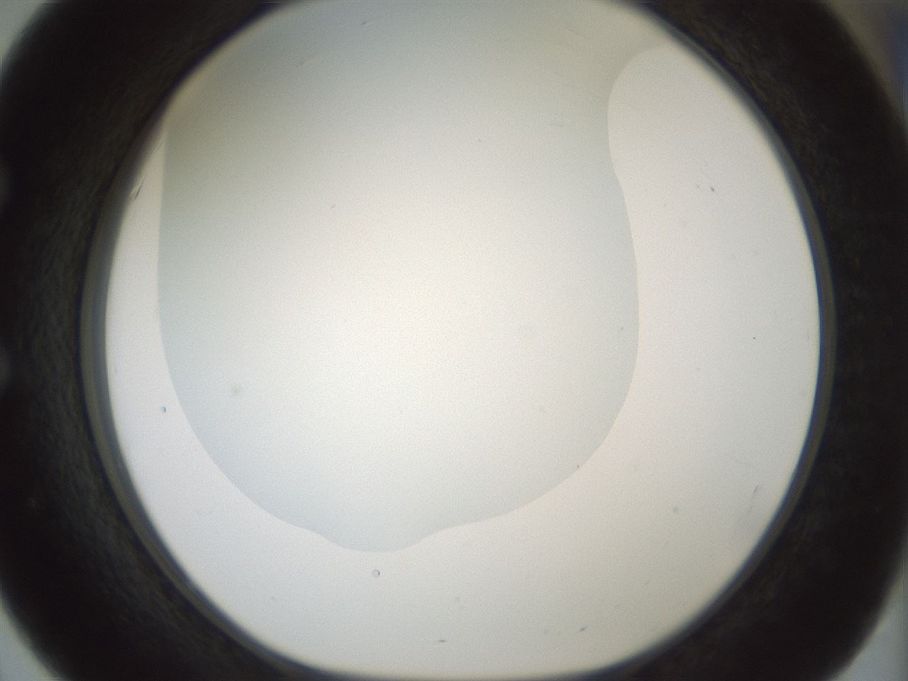 folderID181_plateID1181_batchID3370_wellNum51_profileID1_d1_r65841_ef.jpg